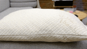 best-shredded-memory-foam-pillow